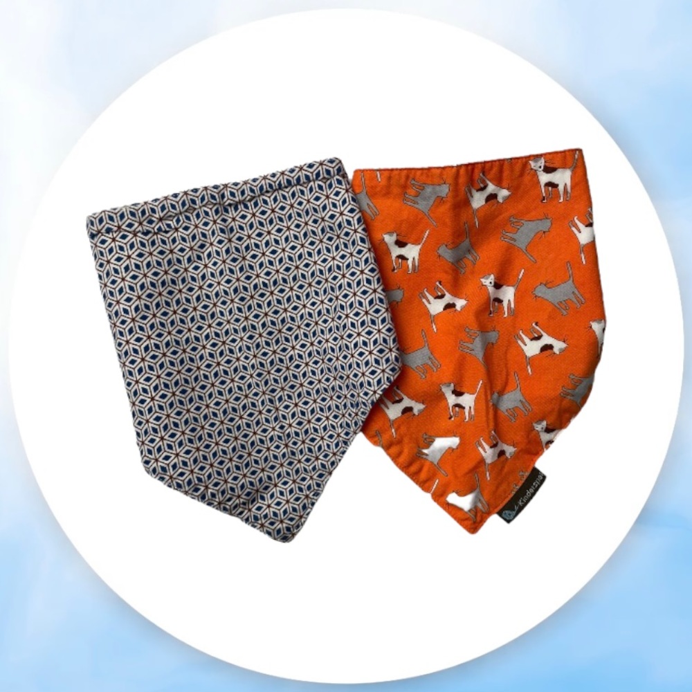 💙 3 for $12 - Bandana Bib Assorted Set of 2 Cats & Geometric